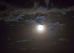 other halo