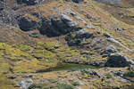horn lake 2