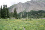 Middle Taylor Creek Valley 
