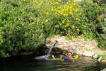 Valley View Hot Spring